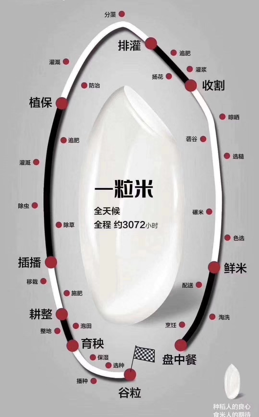 湖北大米