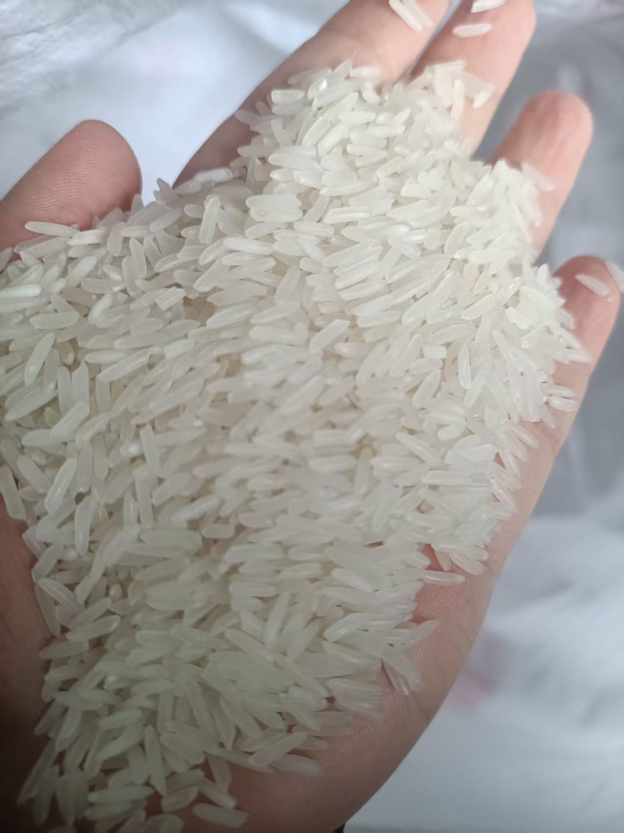 湖北大米 晚籼米